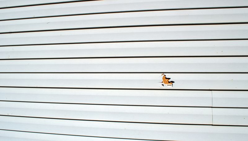 Siding Repair and Restoration