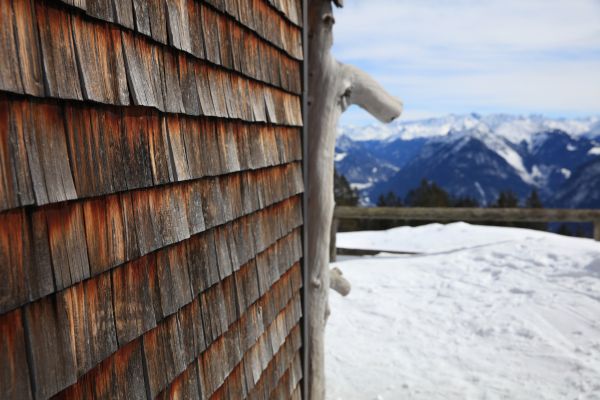 Cedar Siding Repair in Golden