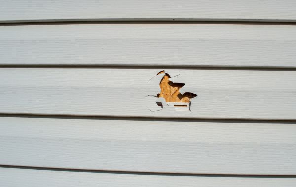 Siding Hole Patching in Golden