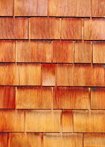 Wood Siding Replacement in Golden